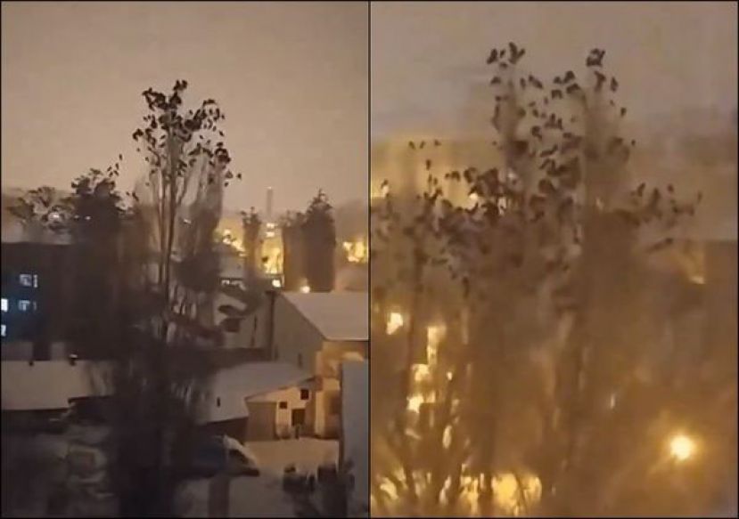 土耳其强震前，有人目击大量鸟儿在空中乱飞，影片掀热议。