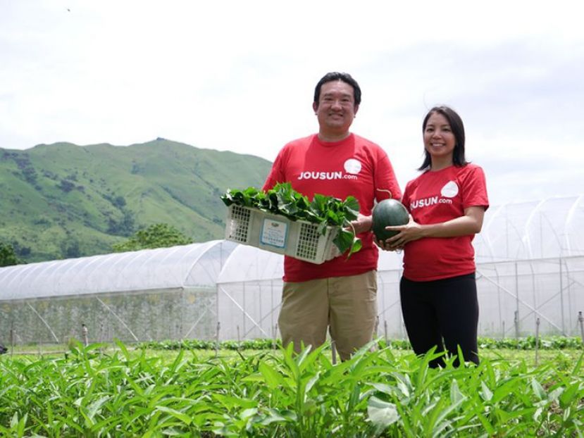 一个app下单 农场新鲜菜即日收割再直送