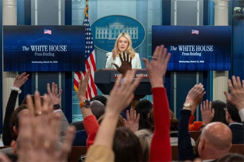 莱维特出席记者会。