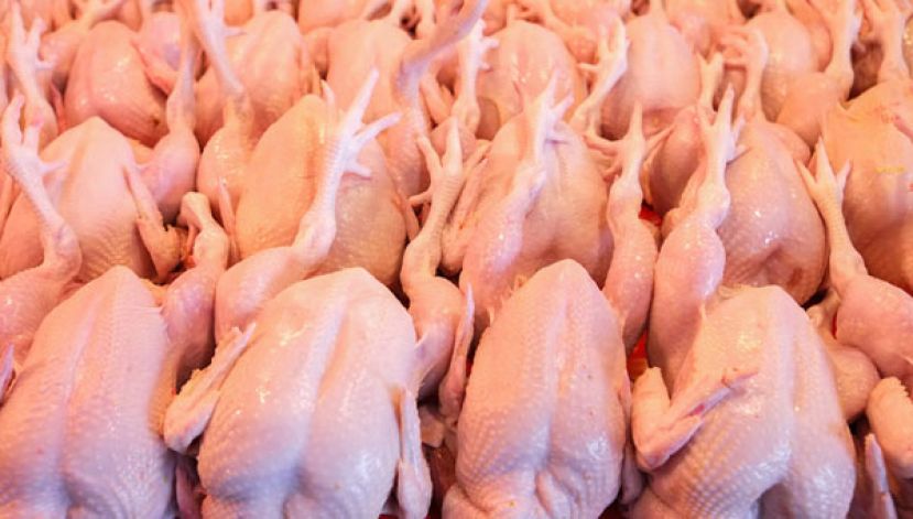 沙拉胡丁阿育：国内肉鸡供应充足