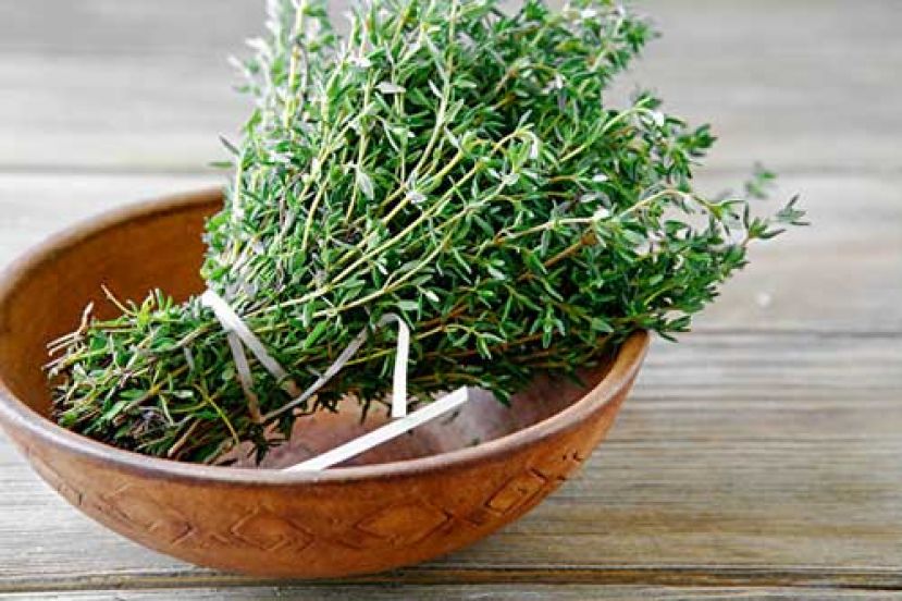 百里香抗霉菌除口臭 2种用法霉菌清光光