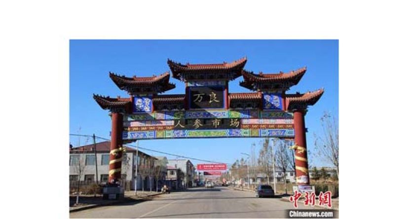 万良人参市场。