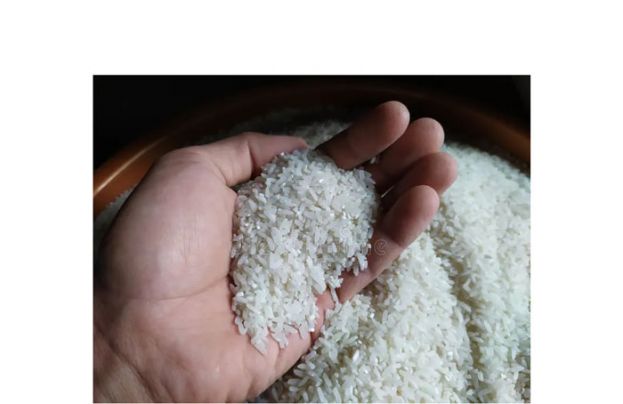 本地白米包装成进口米出售　内贸部将严厉对付绝不妥协