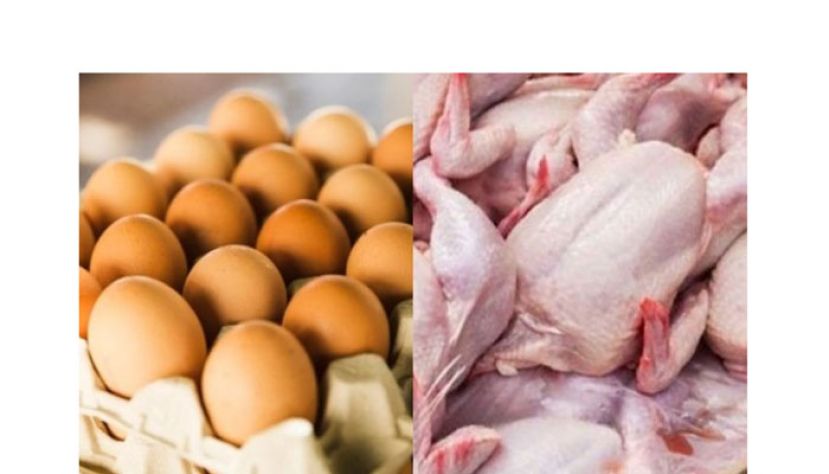肉鸡与鸡蛋顶价维持至开斋节后