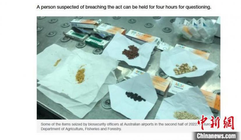 澳洲政府近日收紧入境规定，携带违禁植物和肉类产品者或被取消签证。