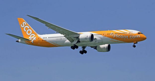 新加坡低成本航空酷航发生窃案。