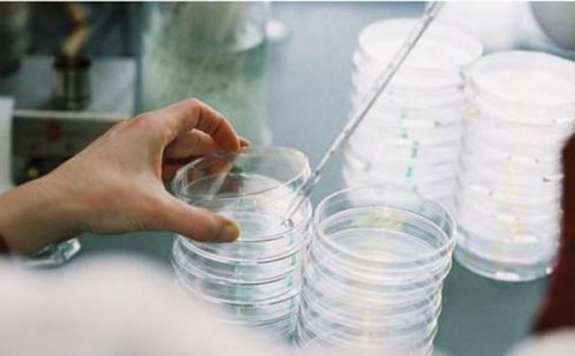 科学家复活48500年前病毒