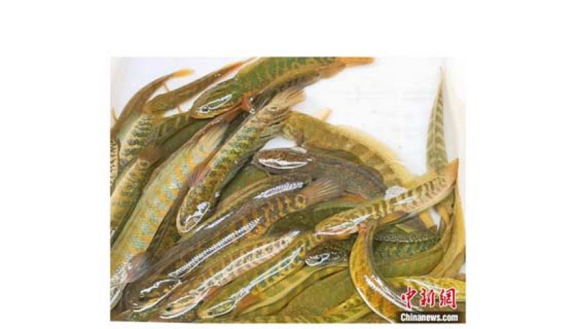 颜色鲜艳的阳光斑。