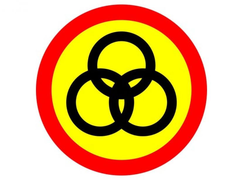 法院裁决具标杆性意义  砂人联党矢捍卫母语教育