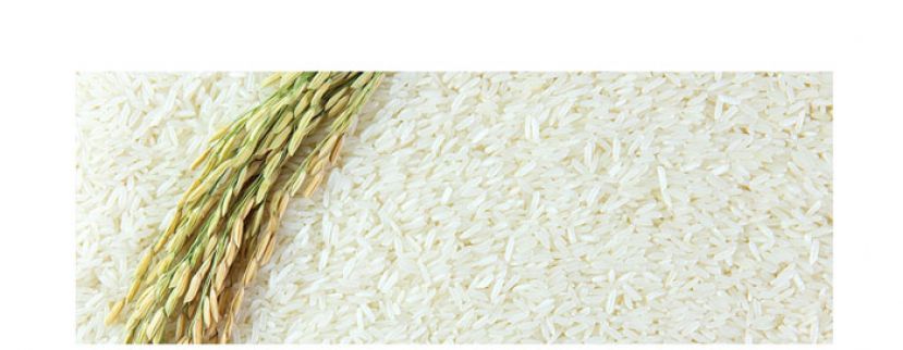 农长：我国不会面对白米短缺　全国稻米库存可应付1年需求