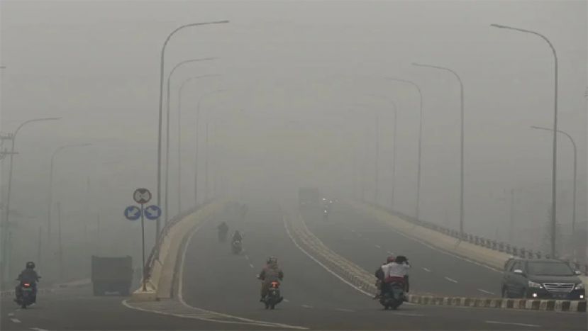 绿色和平组织呼吁东协国家 立即颁布跨境烟霾污染法令