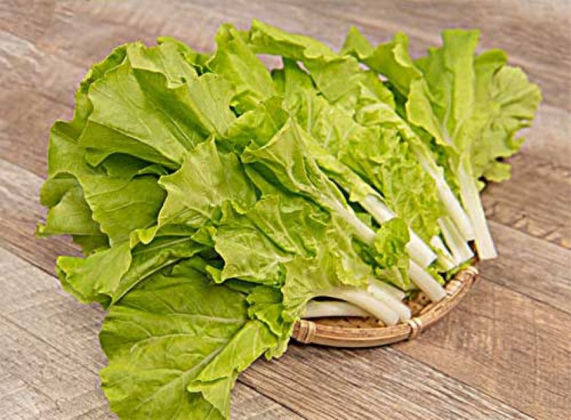 小白菜是高钙蔬菜还助解毒 4招避免农药下肚