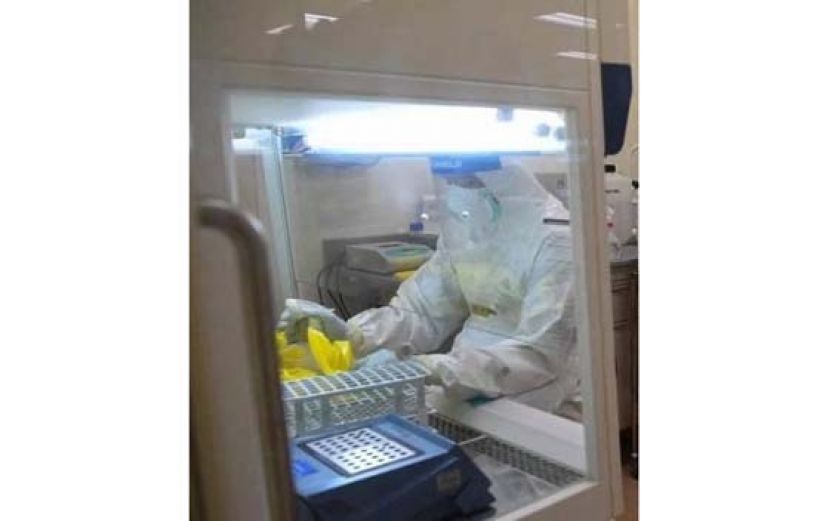 国家卫生研究院对新冠病毒患者展开研究。