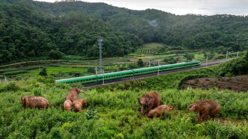 东盟国家旅游团，可免签入境云南西双版纳。