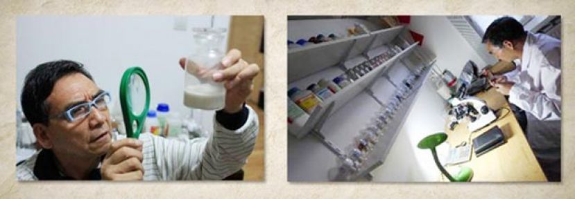 低碳老人热衷环保发明  百项技术造低碳小屋