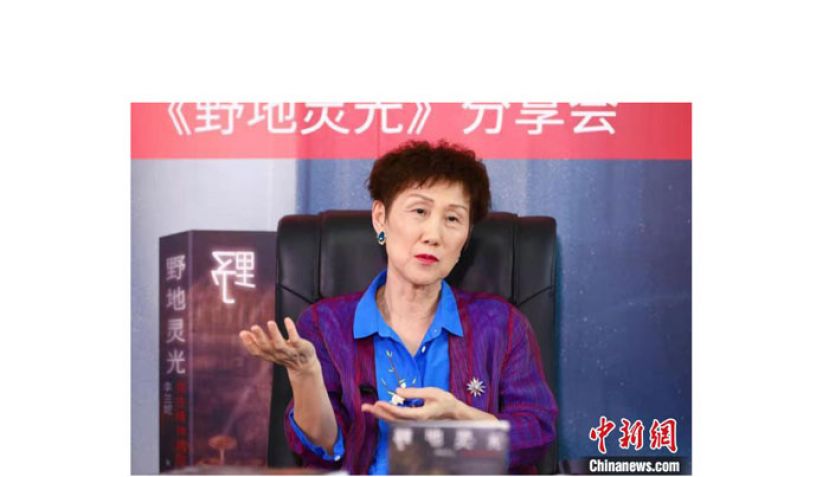 作家李兰妮。
