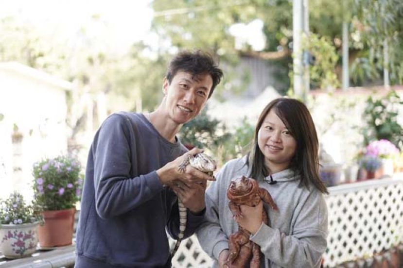 Rikii（右）饲养红泰加蜥Molly后，本对爬虫没太大感觉的Ka Chun也会帮太太照顾宠物的起居饮食。