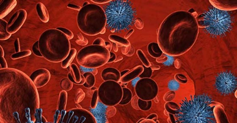 2岁童高烧不退　竟罹患罕病 &ldquo;血球快被吃光&rdquo;