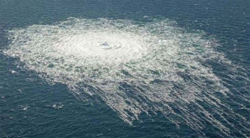 美德媒：乌扮要角。