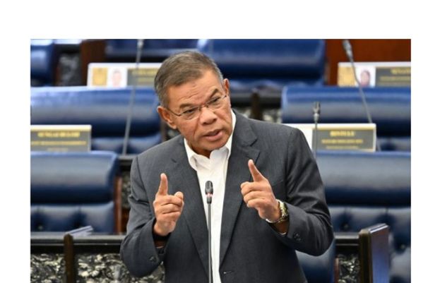 内政部长赛夫丁。
