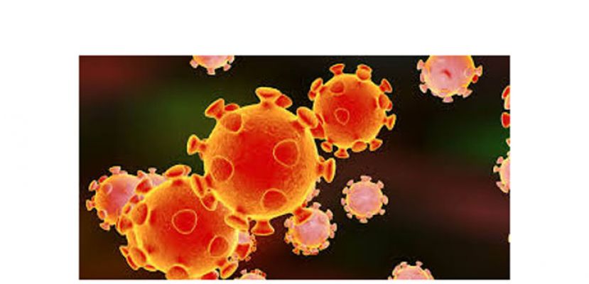 诺希山：大马再现6变种病毒病例