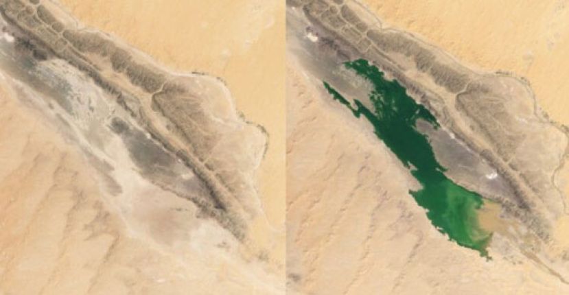 NASA卫星拍到，撒哈拉沙漠原本被盐覆盖的沙地在暴雨后突然出现湖泊。