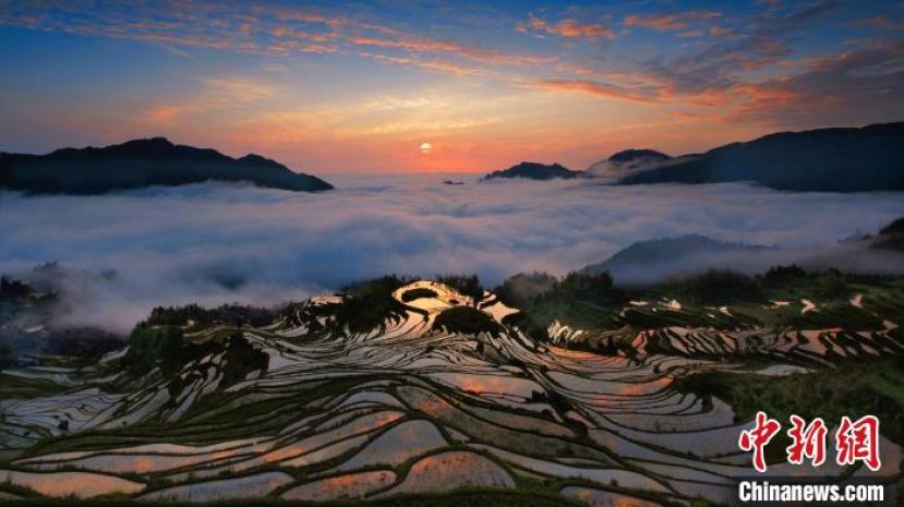 春天的云和梯田。