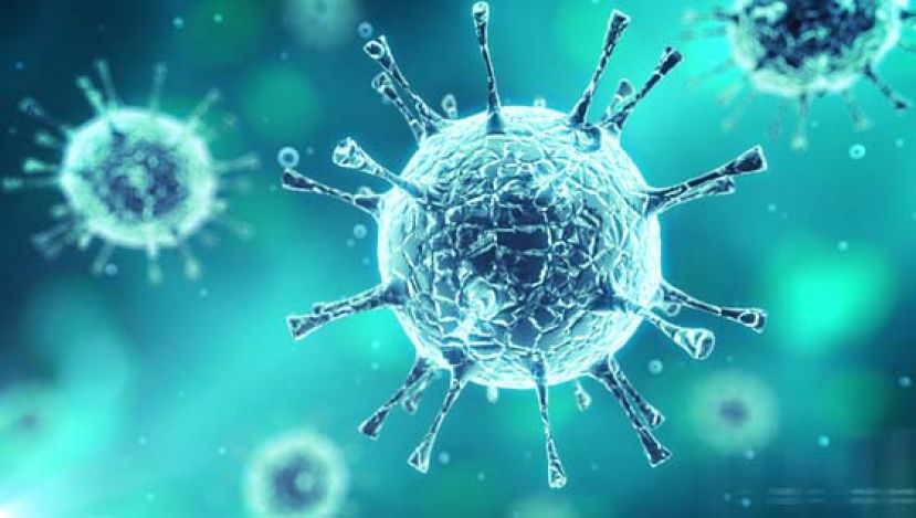 请不要叫它“武汉肺炎”，好吗？