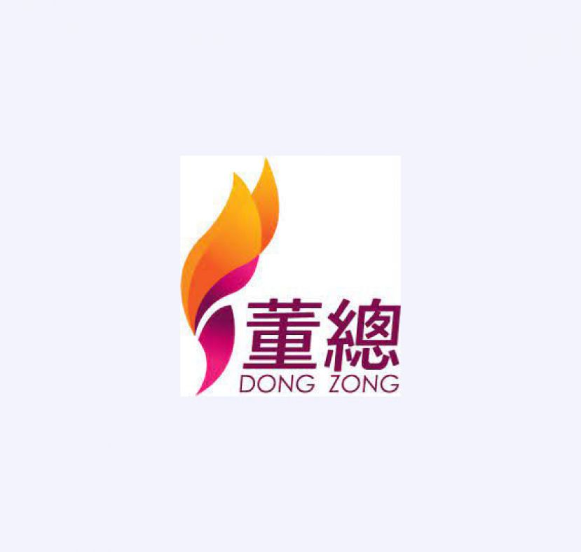 董总秉持 &ldquo;超越政党、不超越政治&rdquo;