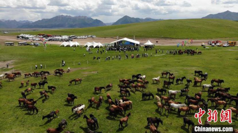 2022年6月29日，位于河西走廊中部的山丹马场马匹成群。