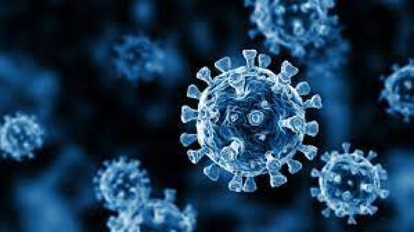 国内新冠肺炎确诊病例1万9257宗