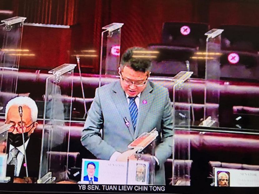 行动党上议员刘镇东