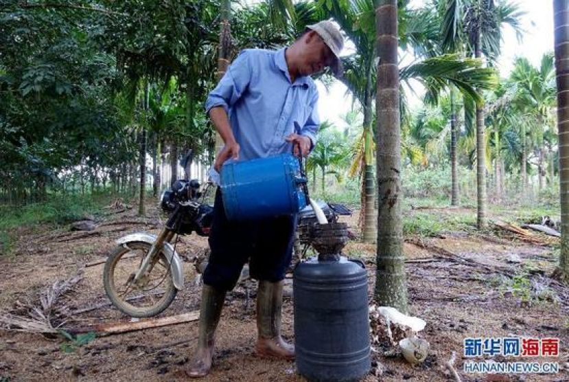 胶工网恋被骗10万令吉