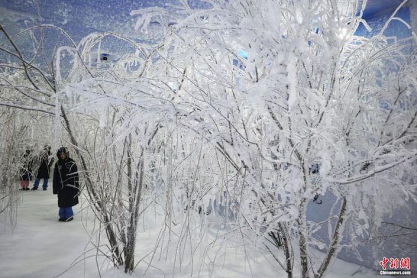吉林市盛夏里的雾淞景观。