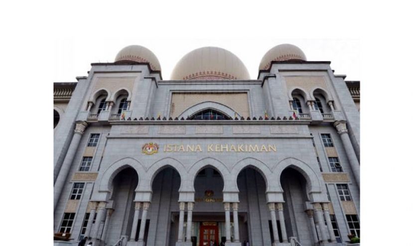 不服华淡小符合宪法裁决　非政府组织入禀法院提上诉