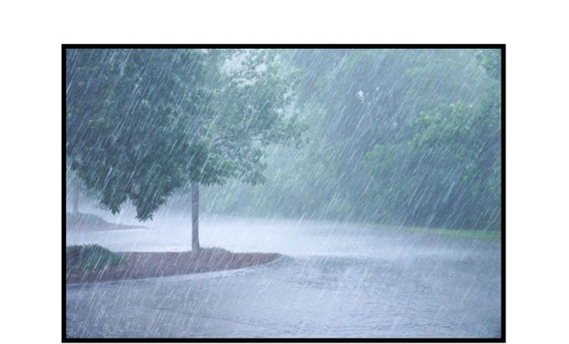 投票日全马各州有雨