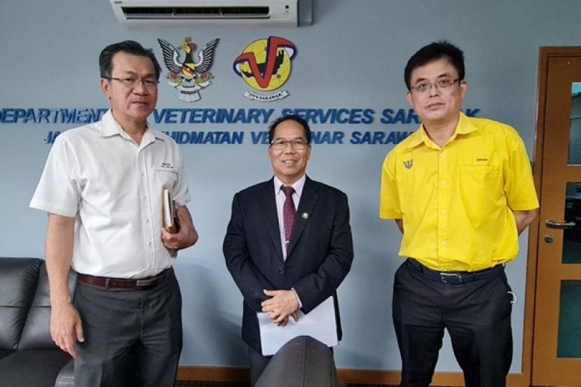 叶耀星与陈开到砂拉越兽医局了解死猪拋河事件