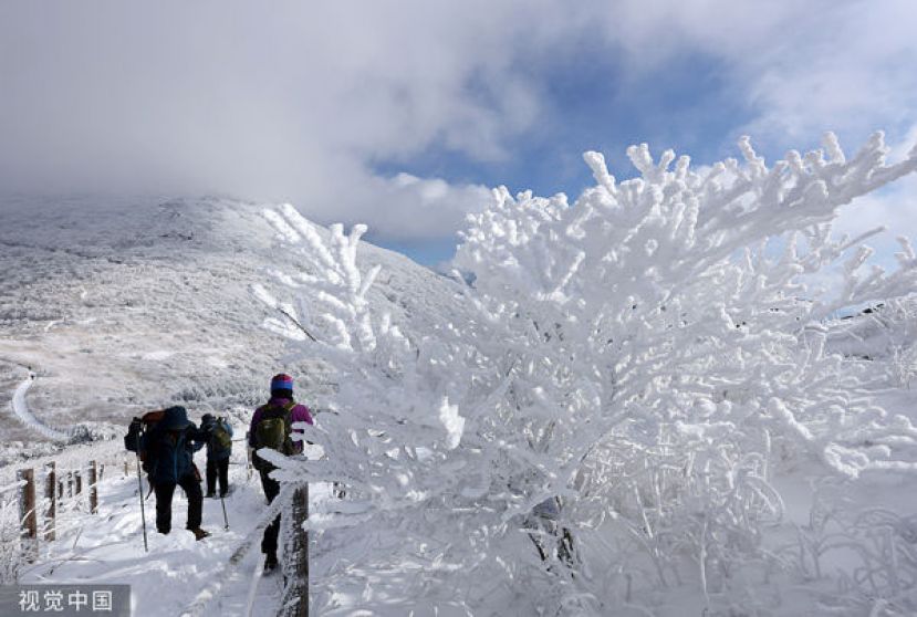 韩国南部光州市无等山国家公园树木结起雾淞。