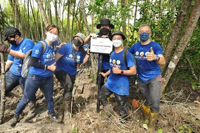 红树林重植计划欢庆RELeaf成立一周年。