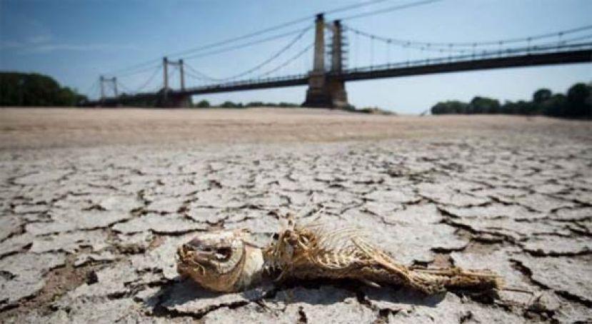 因高温造成的生物和人类死亡还会再增加。