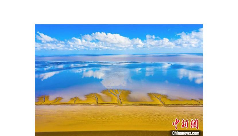 盐城黄海湿地国际摄影大赛获奖作品。
