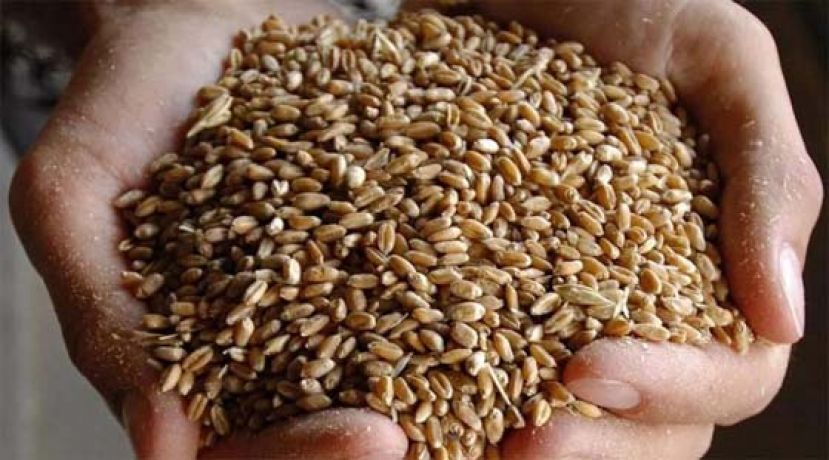  白俄罗斯同意无条件允许乌克兰粮食过境到立陶宛出口。