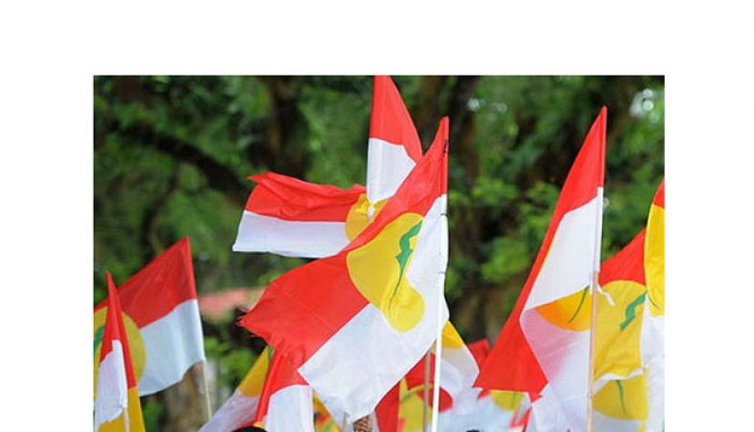 巫统公开14国会议员名单　力证慕尤丁已失多数支持