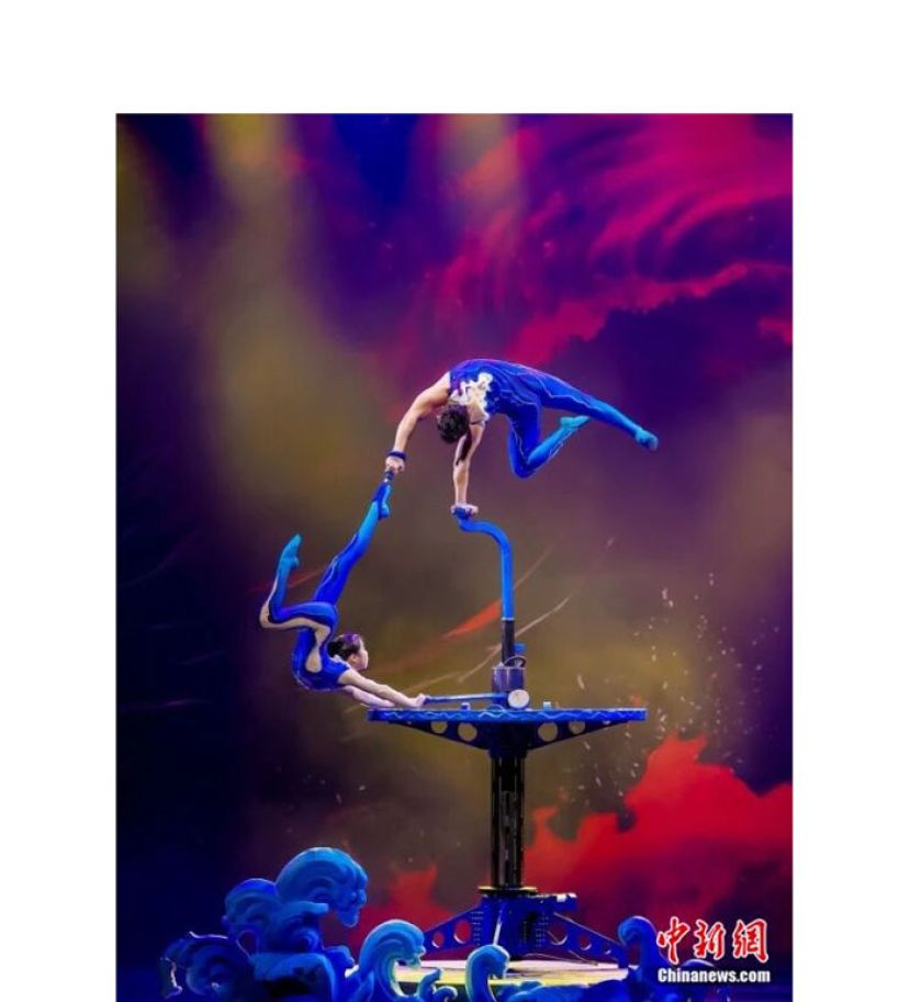 第二十届中国吴桥国际杂技艺术节。