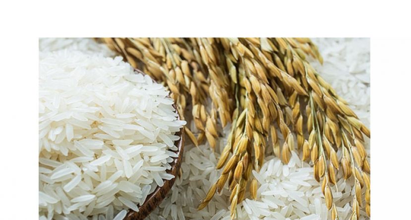 政府推介昌明大马白米　3月起10公斤装售价30令吉