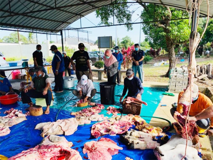 大马5年进口近10亿令吉的活牲畜 满足国内需求