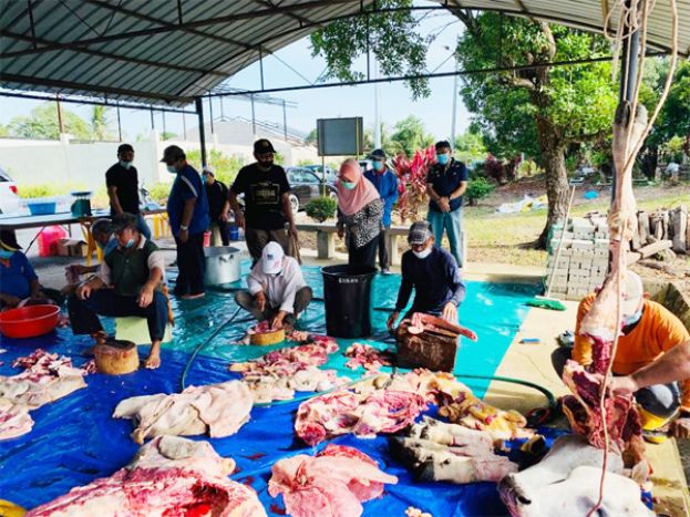 大马5年进口近10亿令吉的活牲畜 满足国内需求