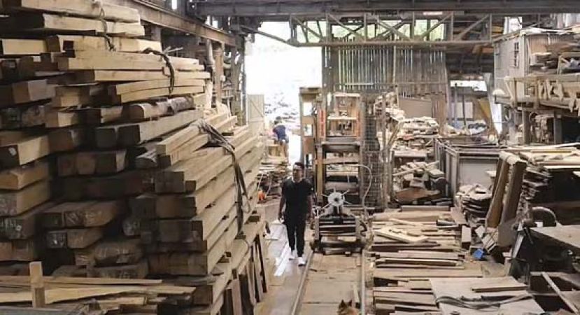 Dream连同七间本地实业公司，设计了&ldquo;北区调理农务实习生计划&rdquo;。