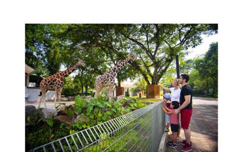 国家动物园呼吁公众人士捐献。