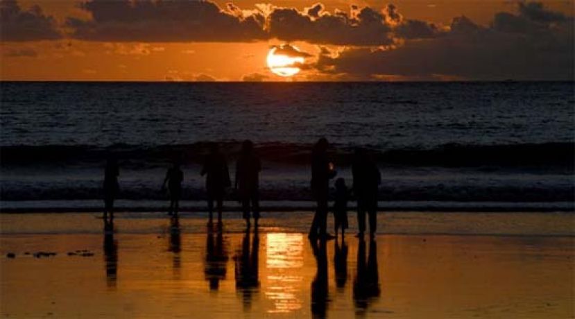 峇厘岛将禁外国游客骑摩托。